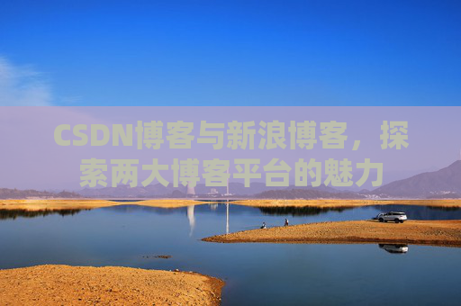 CSDN博客与新浪博客，探索两大博客平台的魅力
